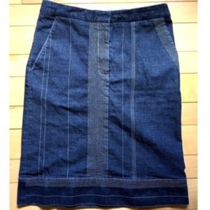 Poleci Skirt Size 4 Blue With Pockets Pinstripe